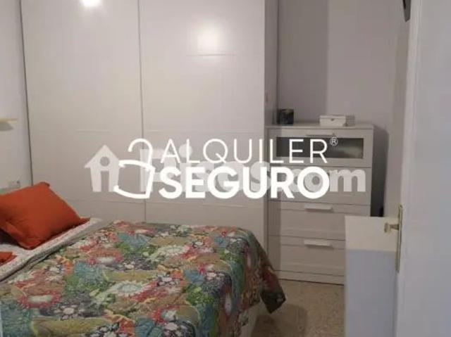Piso en alquiler en Pino Montano