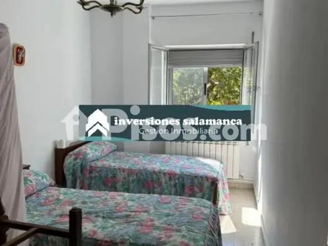 Piso en alquiler en Pizarrales