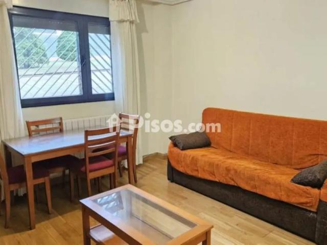 Piso en alquiler en Pizarrales