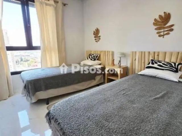 Piso en alquiler en Platja de Ponent