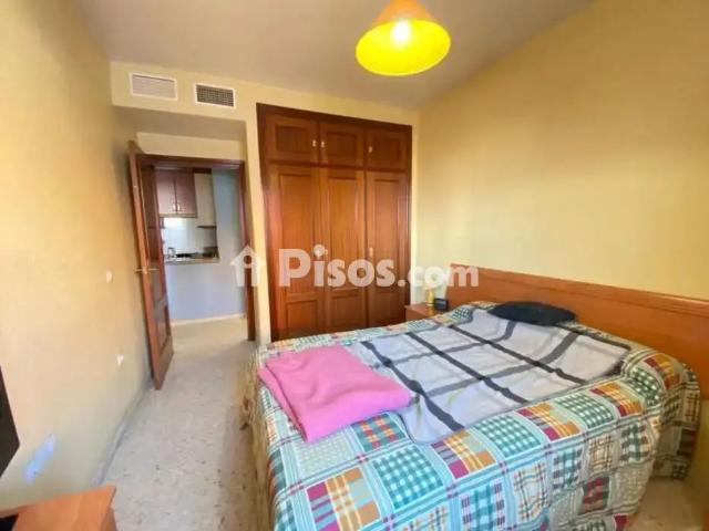 Piso en alquiler en San Roque Ronda Norte