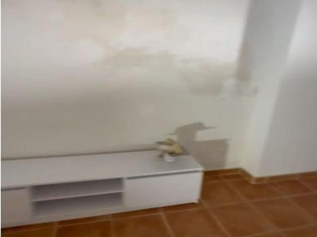 Piso en Alquiler en Sant Jordi San Jorge, Castellón
