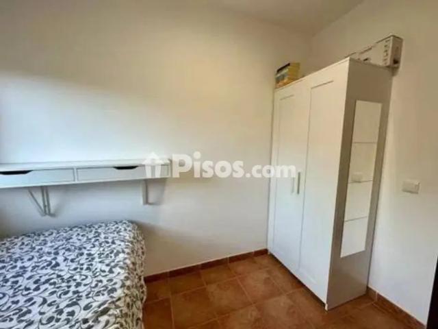 Piso en alquiler en Tejina Valle de Guerra Punta del Hidalgo Bajamar