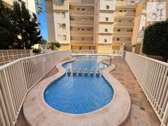 Piso en Alquiler en Torrevieja