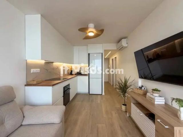 Piso en alquiler en Torrevieja