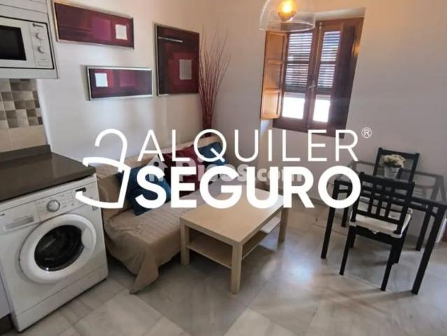 Piso en alquiler en Triana