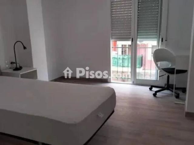 Piso en alquiler en Zona Universitaria