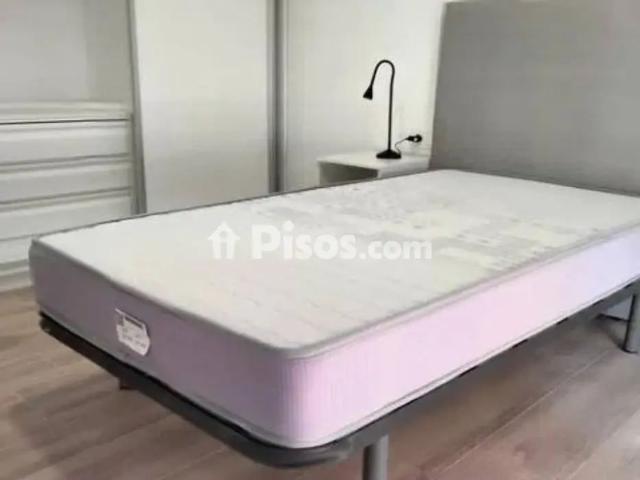 Piso en alquiler en Zona Universitaria