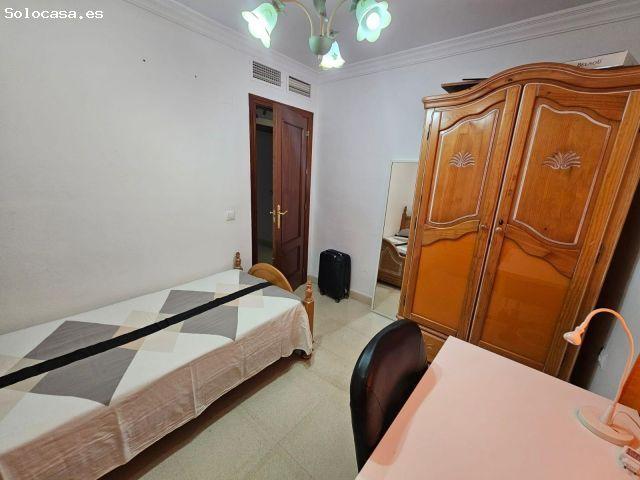 PISO EN ALQUILER PARA ESTUDIANTES EN TEATINOS