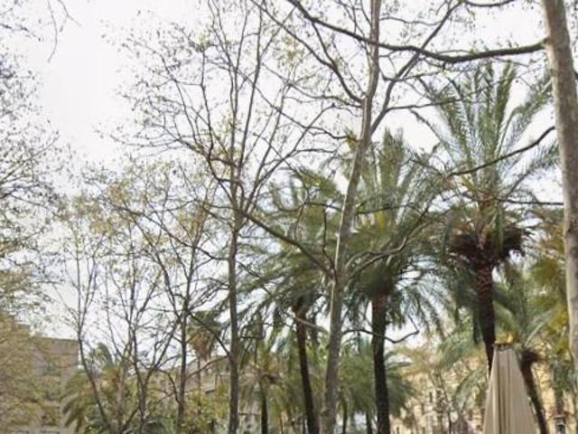 PISO EN BARCELONA
