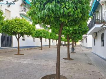 PISO EN ECIJA