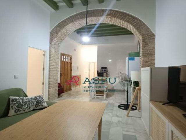PISO EN LA VIÑA PARA CURSO ESCOLAR