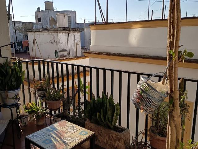 Piso en situación céntrica de Jerez de la Frontera zona centro cerca de la Catedral