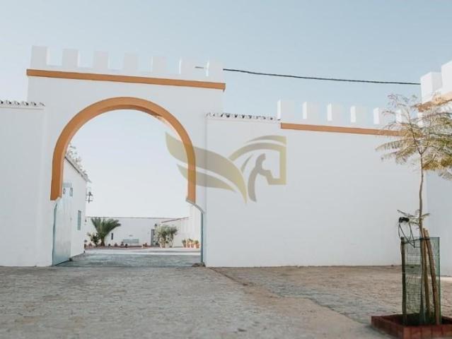 Piso en venta Carmona
