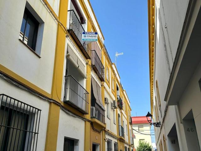 Piso en venta en Marchena. ESTUPENDO PISO EN PLENO CENTRO. Pisos.