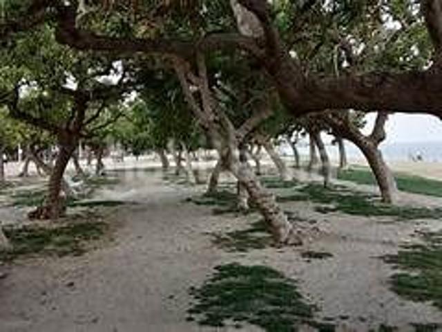 Piso en venta en Mataró, Havana. ¿Alguna vez has soñado con vivir frente al mar?. Pisos.
