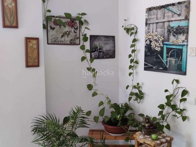 Piso en venta en Navata. Piso en venta, situada en el pueblo de Navata. Pisos.