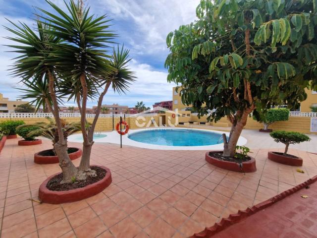Piso en venta en Av Juan Carlos I medano, 1024