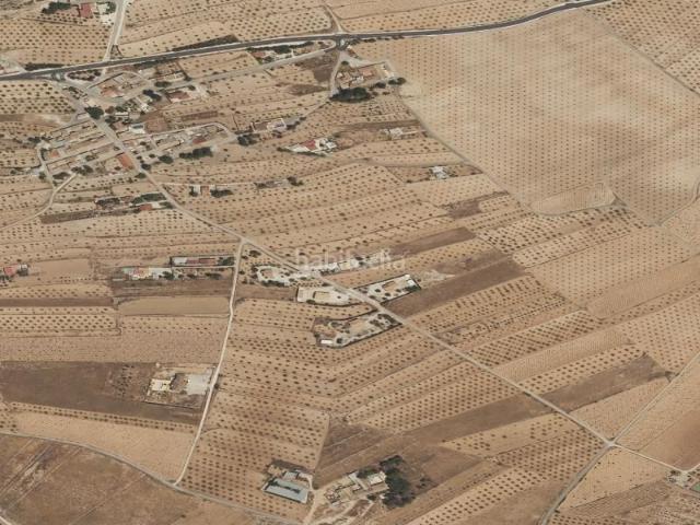 Piso en venta en Algueña. Piso en Algueña, Alicante. Pisos.