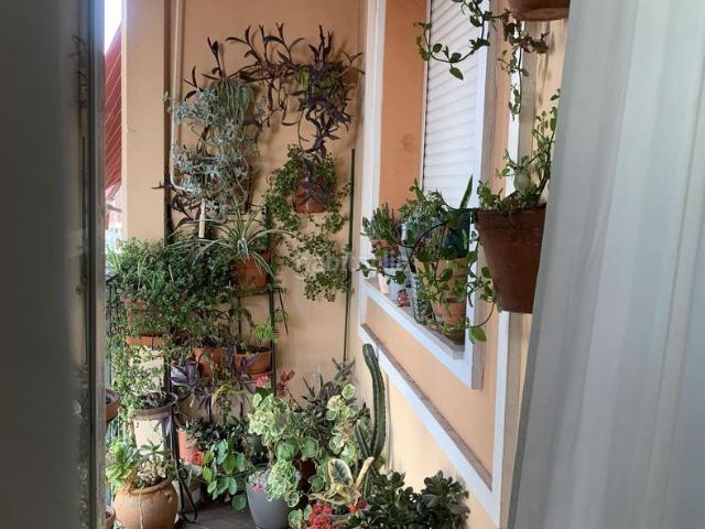 Piso en venta en Almendralejo. AlmendralejoPiso. Pisos.