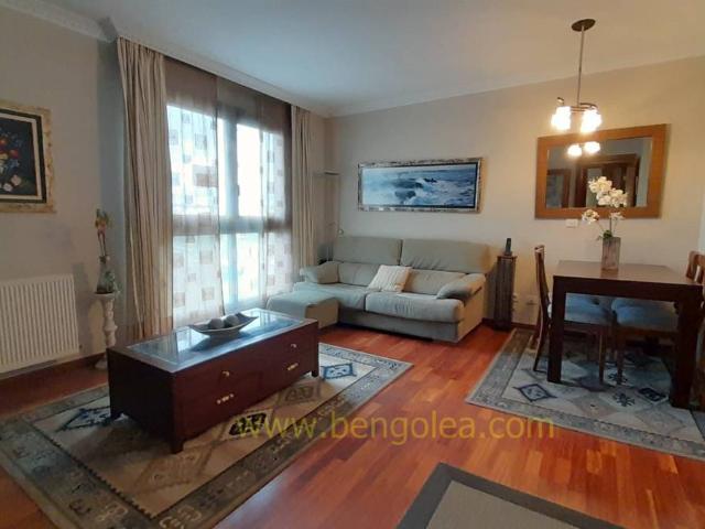 Piso en Venta en Bagatza San Vicente