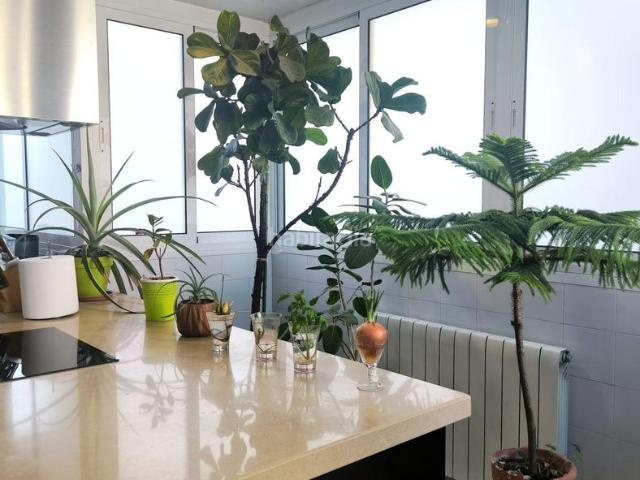 Piso en venta en Badalona, Llefià. AMPLIO PISO EN BADALONA, ZONA CONGRÉS EXCELENTE OPORTUNIDAD DE INVERSIÓN. Pisos.