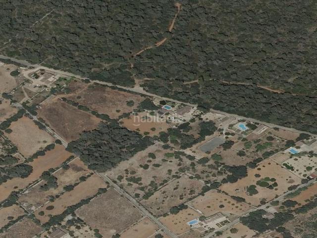 Piso en venta en Baleares Lloret de Vista Alegre. Piso en Finca Finca Can Boira en Lloret de Vistalegre, Islas Baleares. Pisos Lloret de Vista.