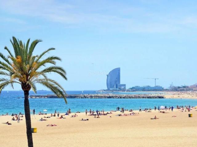 Piso en venta en Barcelona, Barceloneta. TODO EXTERIOR Y CERCA DEL MAR. Pisos.