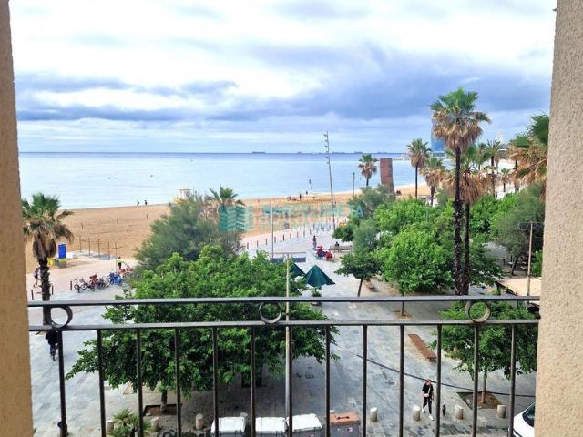 Piso en venta en Barcelona, Barceloneta. Piso reformado en venta en primera línea de mar en la Barceloneta. Pisos.