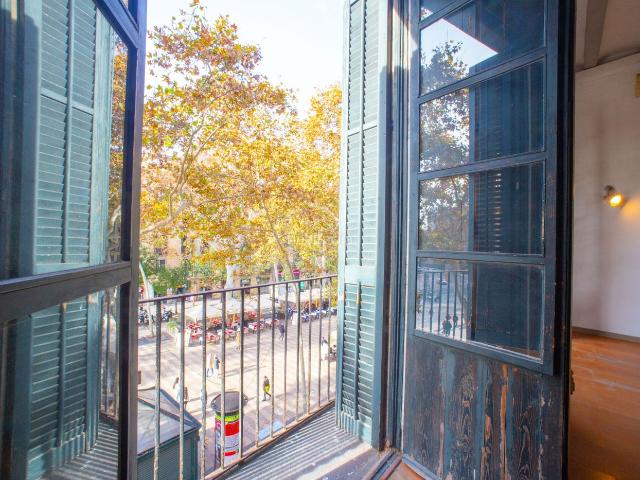 Piso en venta en Barcelona, Dreta de l´Eixample. En el Gótico expectacular vivienda. Pisos.