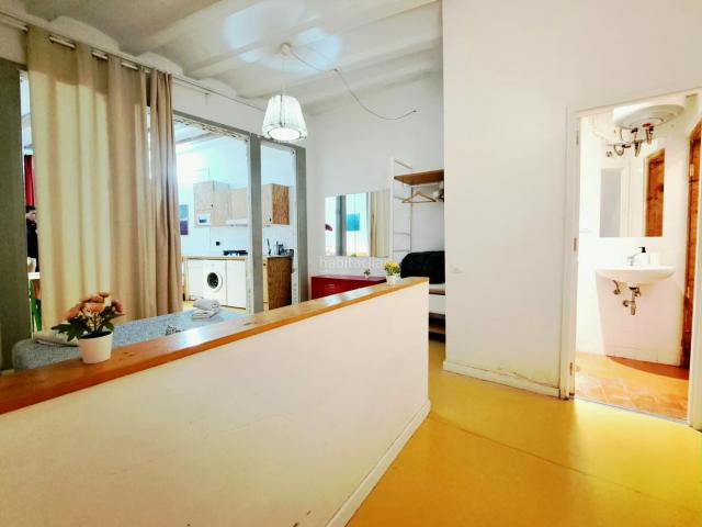 Piso en venta en Barcelona, Raval. Venta de piso reformado con LICENCIA TURÍSTICA. Pisos.