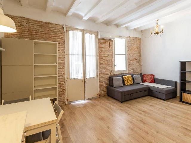 Piso en venta en Barcelona, Raval. VIVE EN CALMA EN ESTE ESPLÉNDIDO APARTAMENTO. Pisos.