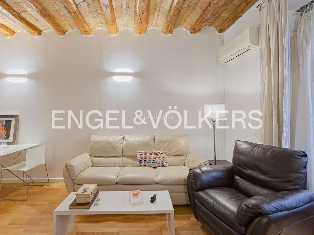 Piso en venta en Barcelona, Raval. Encantador Apartamento en El Raval. Pisos.