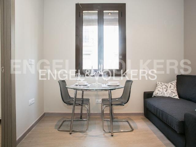 Piso en venta en Barcelona, Raval. Piso nuevo amueblado en centro de Barcelona. Pisos.