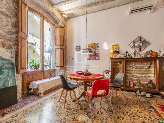 Piso en venta en Barcelona, Raval. Piso tipo loft con terraza en venta en El Raval, Barcelona. Pisos.