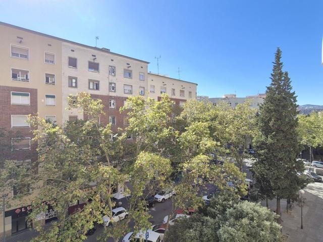 Piso en venta en Barcelona, Sant Martí de Provençals. Piso en oferta. Pisos.