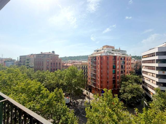 Piso en venta en Barcelona, Sant Antoni. ESPECTACULAR VIVIENDA EN SANT ANTONI · AV PARAL·LEL. Pisos.