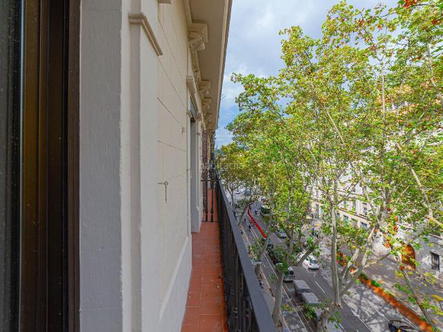 Piso en venta en Barcelona, Sant Antoni. Muy Próximo del Mercado de Sant Antonio. Pisos.