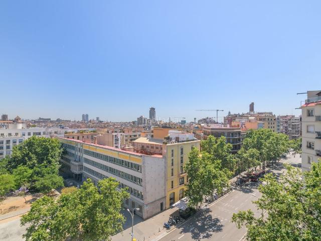 Piso en venta en Barcelona, Sant Antoni. SANT ANTONI. LUZ ETERNA, VISTAS ESPECTACULARES Y DISTRIBUCIÓN IDEAL. Pisos.