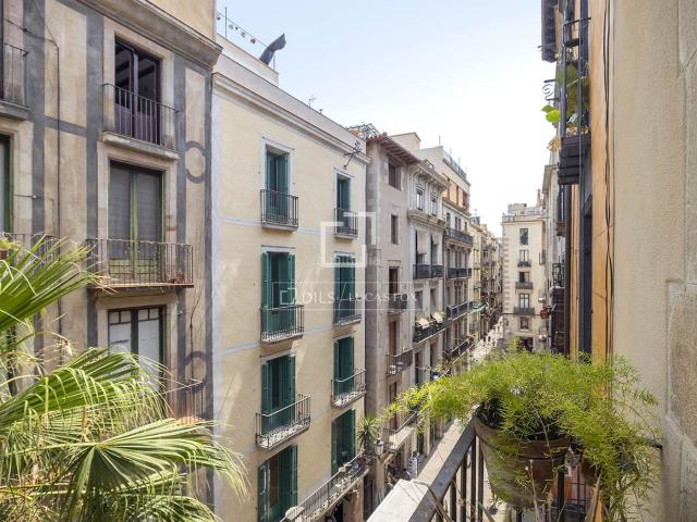Piso en venta en Barcelona, St. Pere Sta. Caterina El Born. Elegante piso en El Born. Pisos.