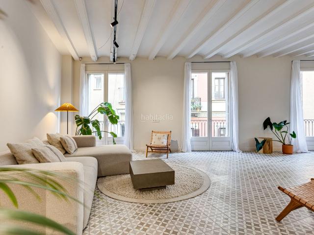 Piso en venta en Barcelona, St. Pere Sta. Caterina El Born. Luminoso apartamento reformado en el Born. Pisos.