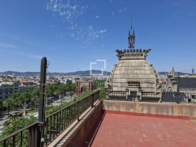 Piso en venta en Barcelona, St. Pere Sta. Caterina El Born. Piso de 6 dormitorios con 45m terraza en venta en El Born, Barcelona. Pisos.