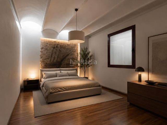 Piso en venta en Barcelona, St. Pere Sta. Caterina El Born. Piso estilo Loft reformado en el Born, divisible en dos inmuebles. Pisos.