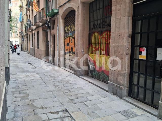 Piso en venta en Barcelona, St. Pere Sta. Caterina El Born. Pisos.