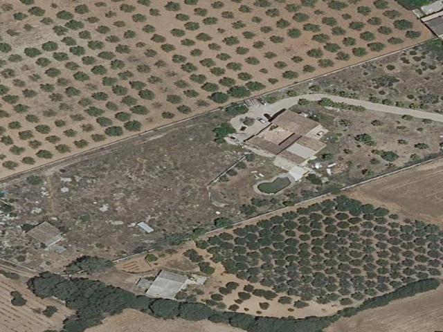 Piso en Venta en Binissalem