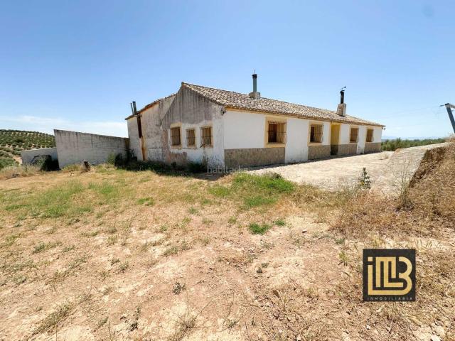 Piso en venta en Cabra del Santo Cristo. Finca Jaén. Pisos Cabra del Santo.