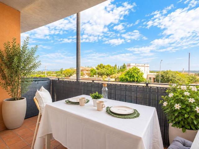 Piso en Venta en Campos poble