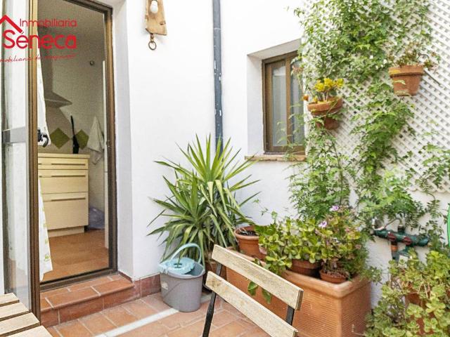Piso en Venta en Casco Histórico Ribera San Basilio