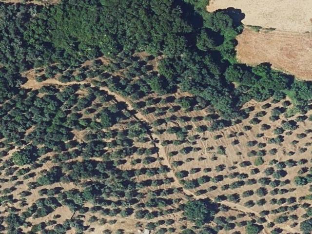 Piso en Venta en Cazalla de la Sierra