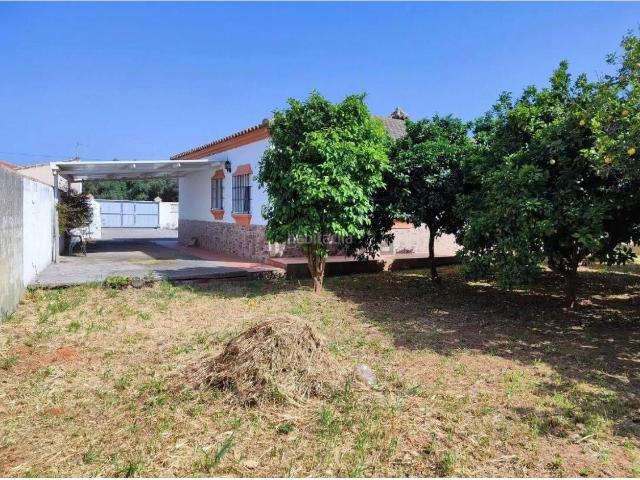 Piso en venta en Chiclana de la Frontera, Las Lagunas Campano. Finca con dos casas independientes y gran terreno de 1.935 m. Pisos Chiclana de la.